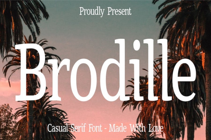 Brodille Font - Casual Serif Font Font Download