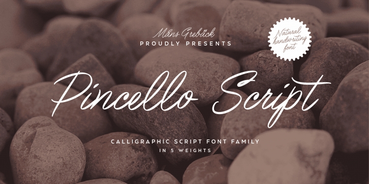 Pincello Scrip Font Download