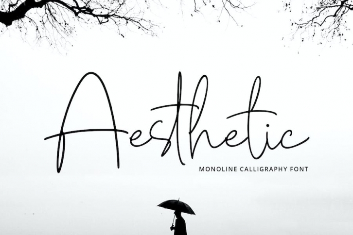 Aesthetic Font Download