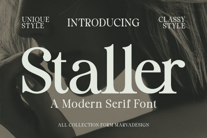 Staller - A Modern Beauty Font Font Download