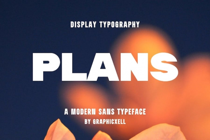 Plans Modern Bold Sans Font Typeface Font Download