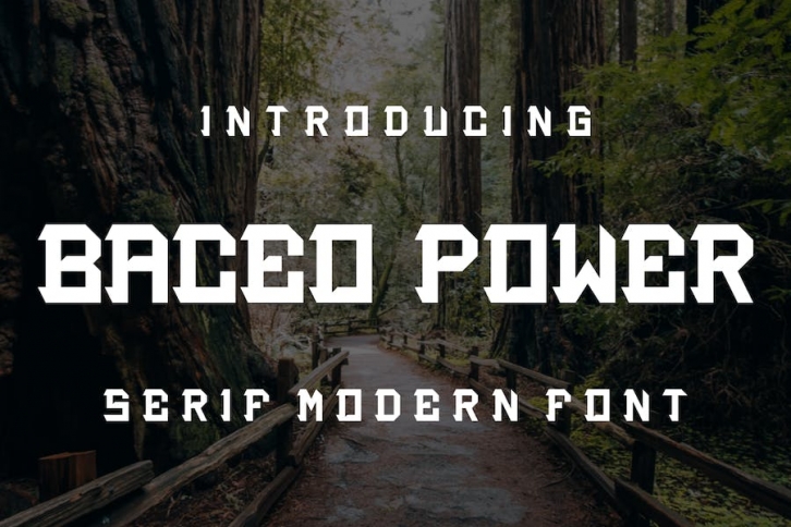 BACEO POWER - Font Serif Font Download