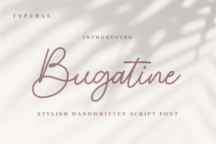 Bugatine Handwritten Script Font Font Download