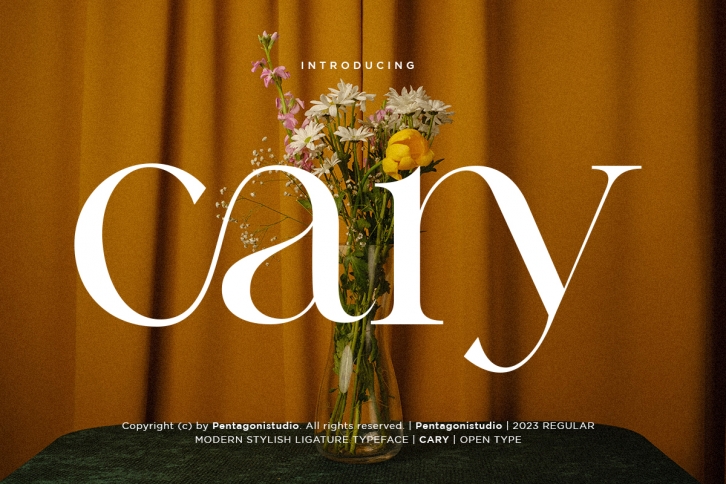 Cary Font Download