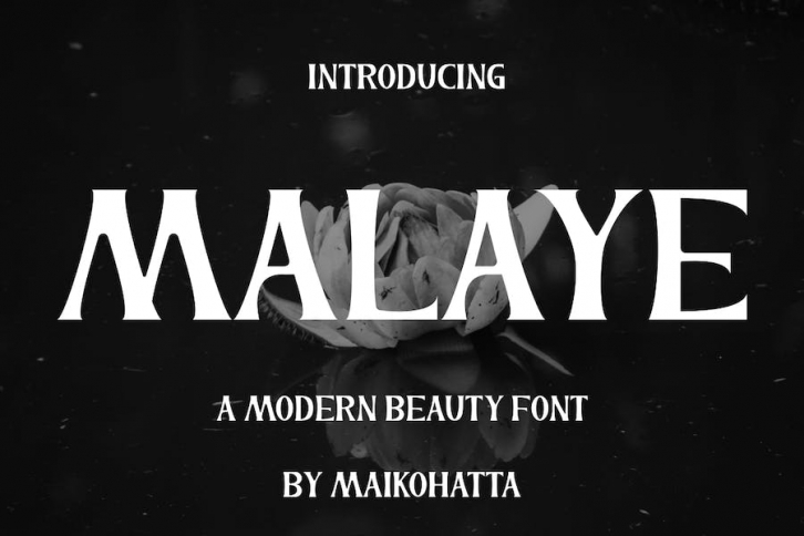 Malaye Font Font Download