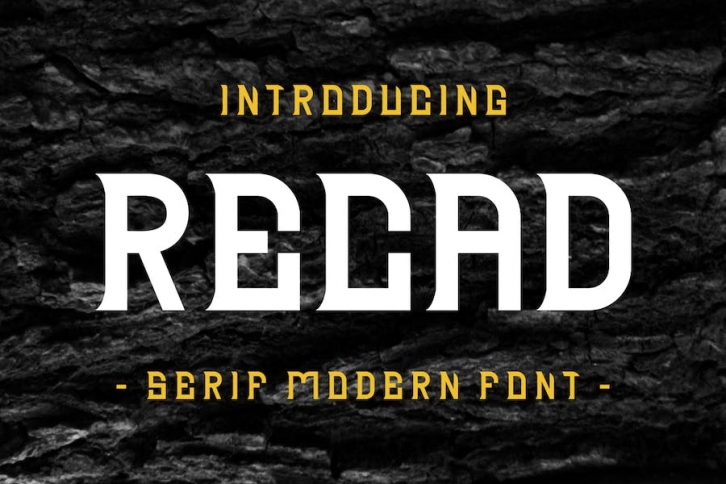 RECAD - Font Serif Font Download