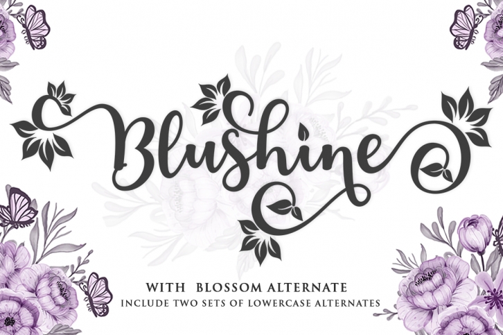 Blushine Font Download