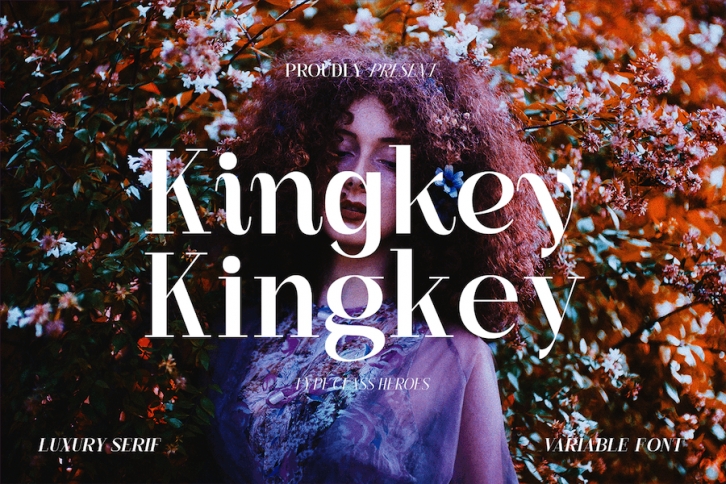 Kingkey - Serif Family Font Download