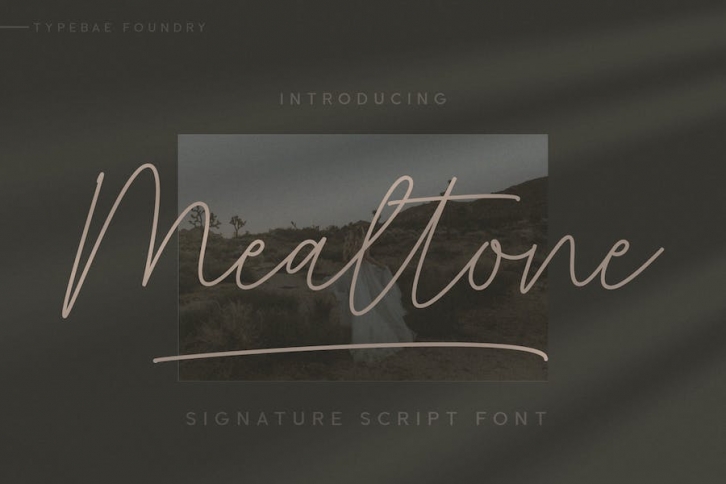 Mealtone Signature Script Font Font Download