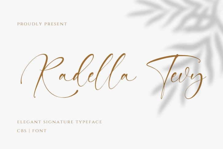 Radella Tevy Modern Signature Handwriting Font Font Download