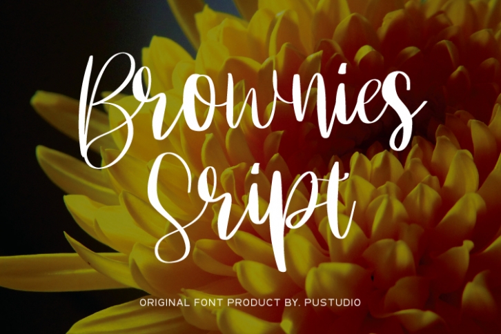 Brownies Scrip Font Download