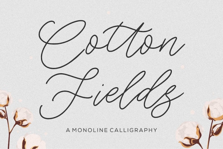Cotton Fields Script Font Font Download
