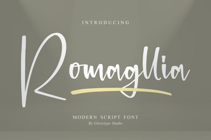 Romagllia Modern Script Font Font Download