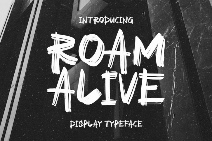 Roam Alive Display Font Font Download
