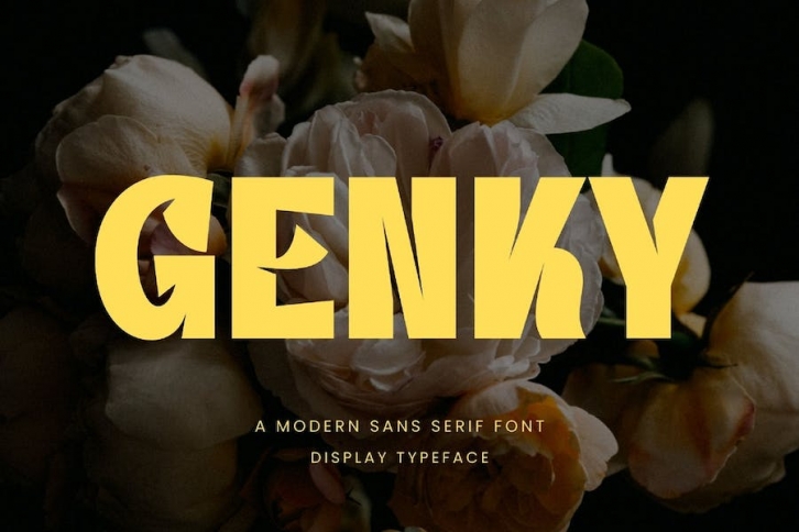 Genky Modern Sans Serif Font Typeface Font Download