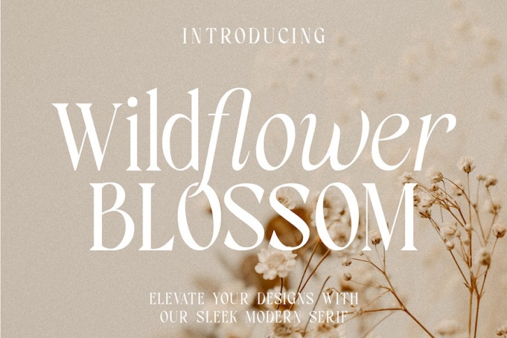 Wildflower Blossom - Modern Serif Font Download