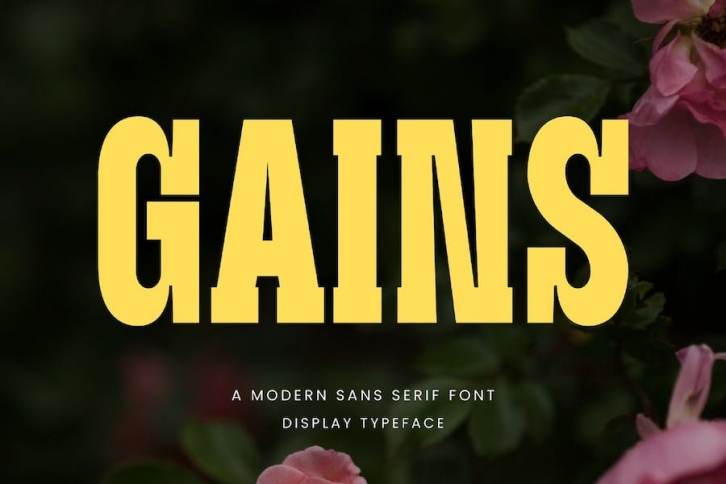 Gains Modern Serif Font Typeface Font Download