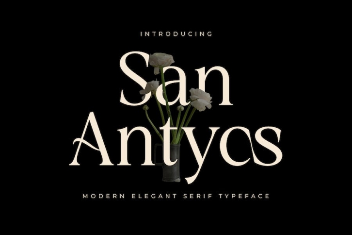 Modern Elegant Serif Font Font Download