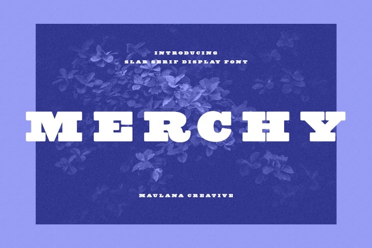 Merchy Slab Serif Display Font Font Download