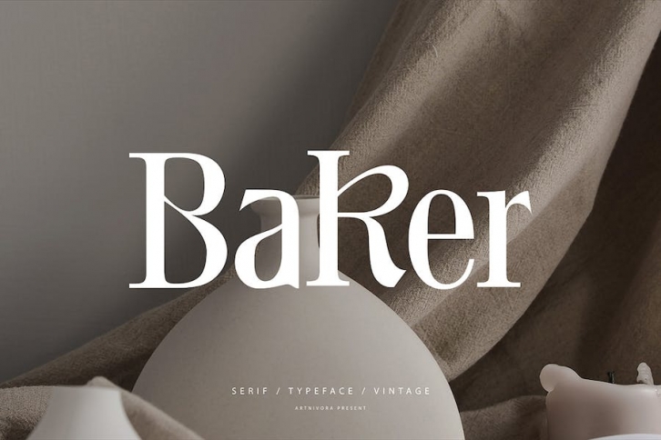 Baker - Serif Font Font Download