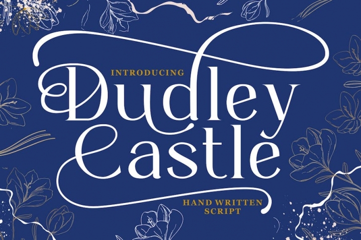 Dudley Castle - Hand Written Script Font Font Download