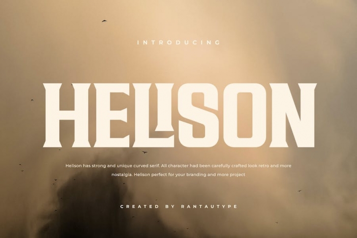 Helison A Unique Strong Serif Font Font Download