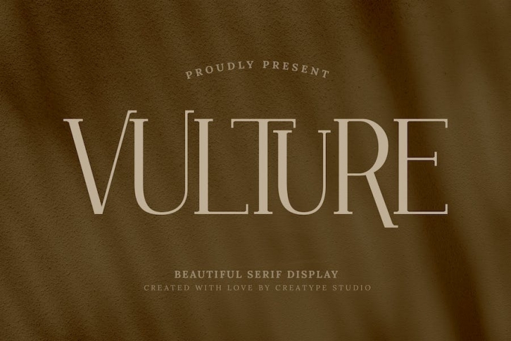 Vulture Beautiful Serif Font Download