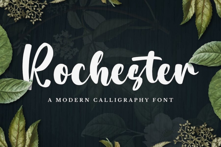 Rochester - Bold Script Font Font Download