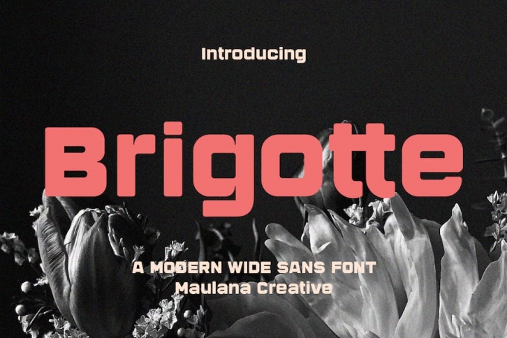 Brigotte Modern Wide Sans Font Font Download