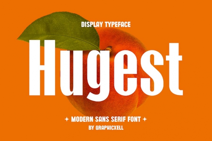 Hugest Modern Futuristic Sans Serif Font Typeface Font Download