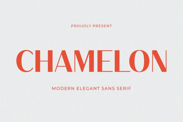 Chamelon - Modern Elegant Sans Serif Font Download