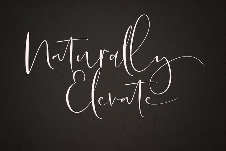 Naturally Elevate Font Download