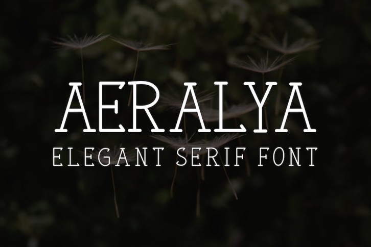 Aeralya - Serif Font Font Download