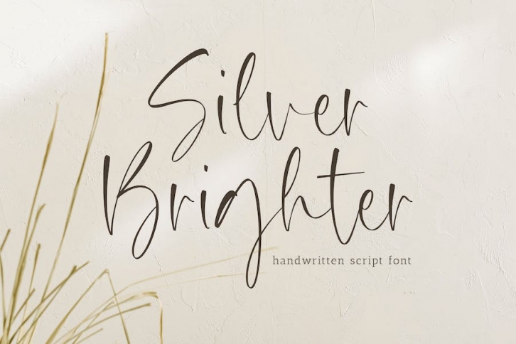 Silver Brighter Font Font Download