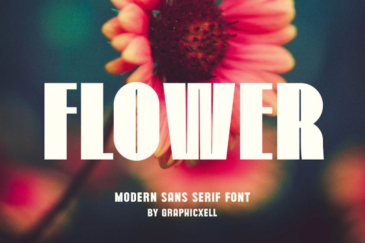 Flower Modern Sans Serif Font Typeface Font Download