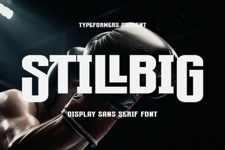 Stillbig - Display Sans Serif Font Download