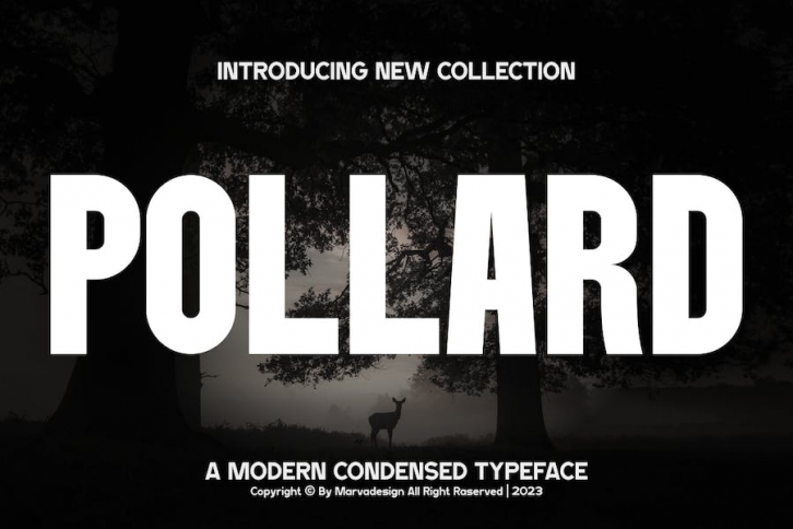 Pollard - A Modern Condensed Font Font Download