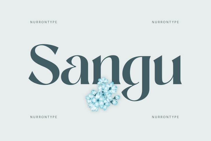 Sangu Sophisticated Serif Font Download