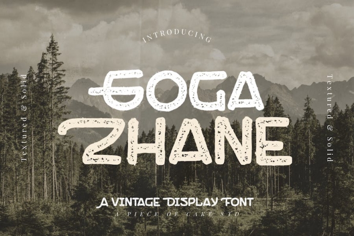 Goga Zhane - A Display Font Font Download