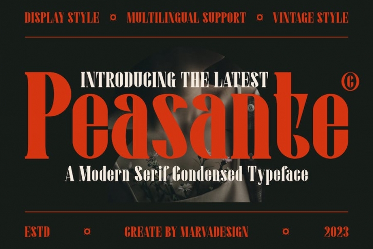 Peasante - A Modern Serif Font Font Download