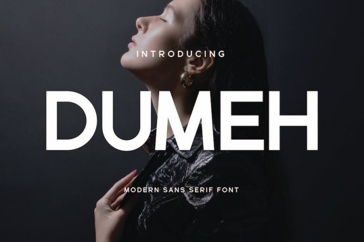 Dumeh - Sans Serif Font Font Download