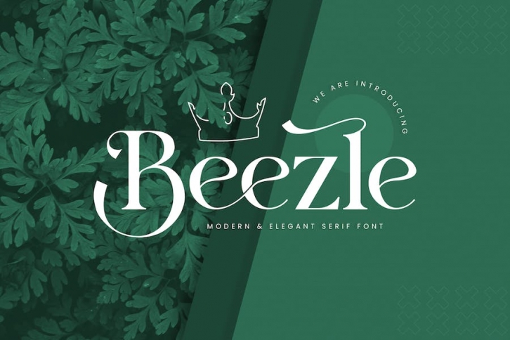 Beezle Modern Serif Font Font Download