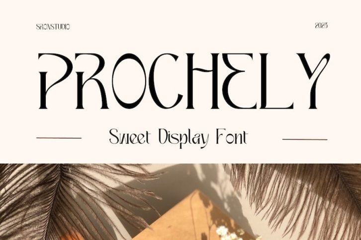 PROCHELY Font Download