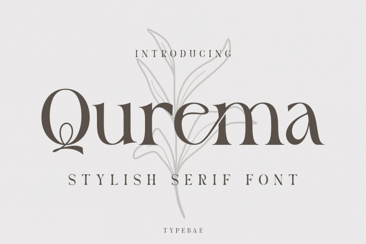 Qurema - Stylish Serif Font Font Download