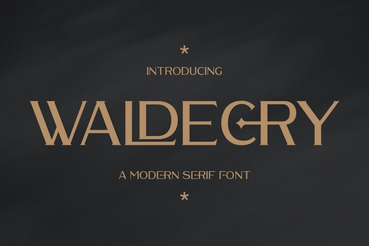 Waldecry A Modern Serif Font Font Download
