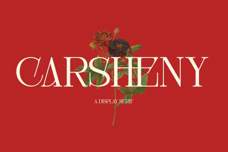 Carsheny Font Download