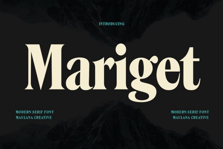 Mariget Serif Display Font Font Download