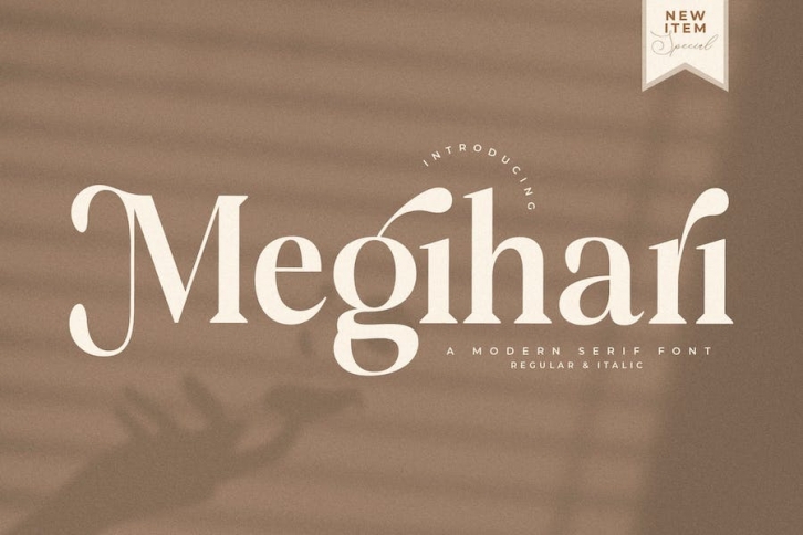 Megihari A Modern Serif Font Font Download