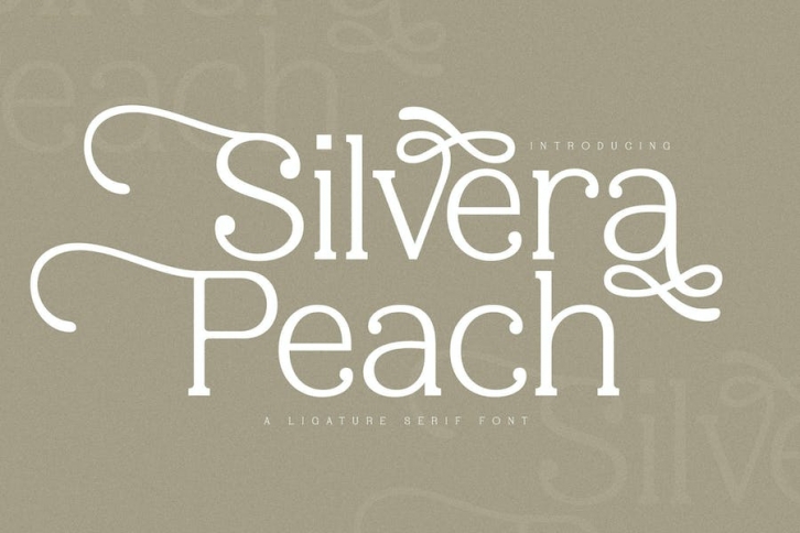 Silvera Peach A Ligature Serif Font Font Download