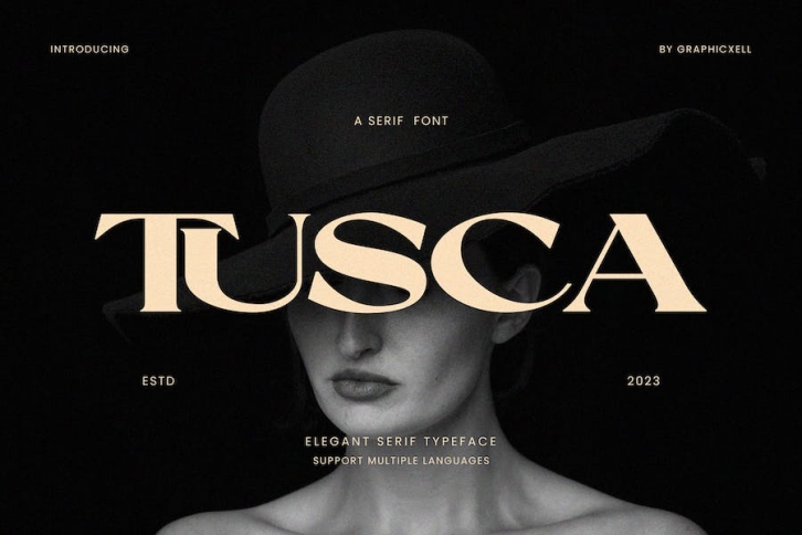Tusca Elegant Serif Font Typeface Font Download